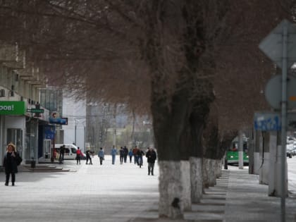 Ветер и потепление до +7 ожидаются в Волгоградской области 3 марта
