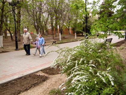 Озвучен график выплаты пенсий на майских праздниках в Волгоградской области, в том числе в Камышине