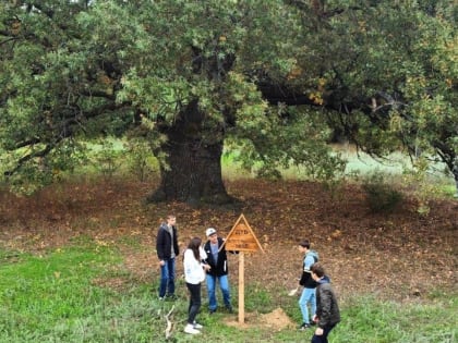 Волгоградцев предупредили о начале сезона клещей