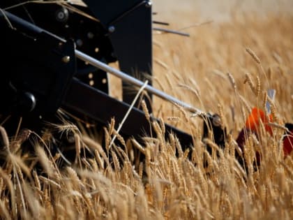 Волгоградские аграрии получают господдержку к сельхозсезону-2023