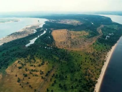 В Корпорации Туризм .РФ обсудили комплексное развитие туристической инфраструктуры на острове Сарпинский в Волгограде