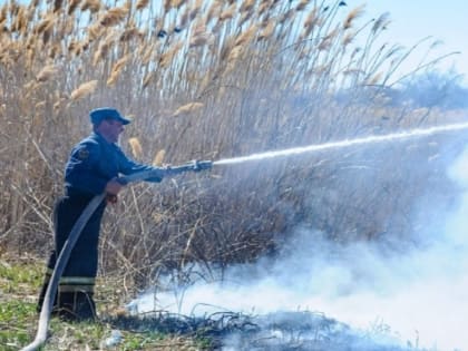 Жителей Волгоградской области предупреждают о чрезвычайной пожароопасности