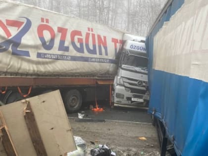 13 пострадавших, из них — трое детей. В массовое ДТП с грузовиками в Саратовской области попали жители Волгограда