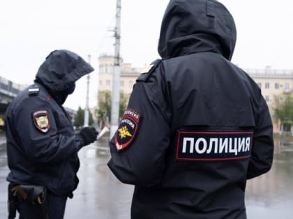 В Волгоградской области машины досмотрят на оружие и взрывчатку