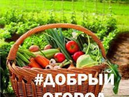 #Добрый огород-2023: сезон открыт!