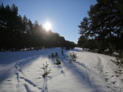 В Волгоградской области 27 января сохранятся ночные морозы до -18 °С