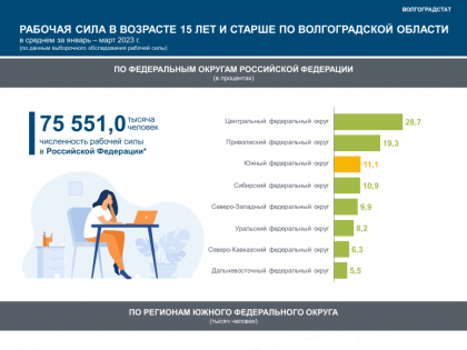 В Волгоградской области актуализировали данные о рабочей силе