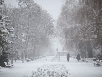В Волгоградской области ожидаются гололед и небольшой снег 15 февраля