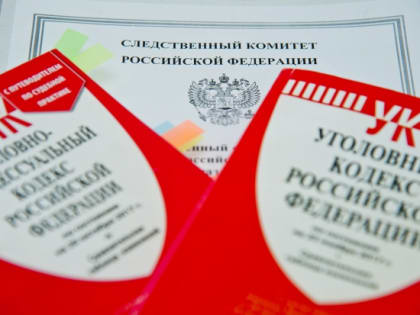 Волжанку подозревают в неосторожном причинении смерти 10-месячному сыну