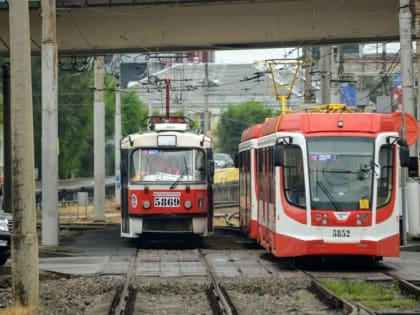 Волгоградских фанатов Шнура после концерта развезёт по домам дополнительный транспорт