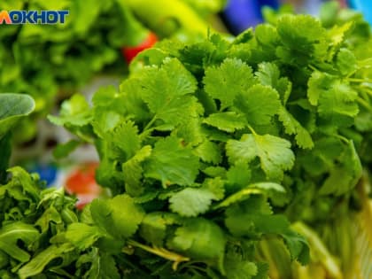 Специалисты рассказали волжанам основные принципы овощной диеты