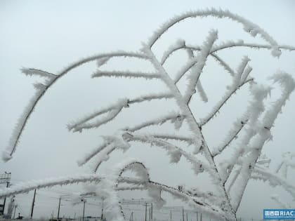 В Волгоградской области 7 февраля обещают гололедицу и мороз до 14 градусов