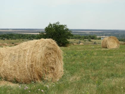 Грязнуха, Колпачки и Бойкие Дворики: причудливые названия волгоградских поселений