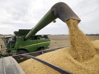 Активная уборка урожая в Волгоградской области