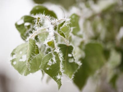 День Прохора Печерского, 23 февраля: что запрещено делать