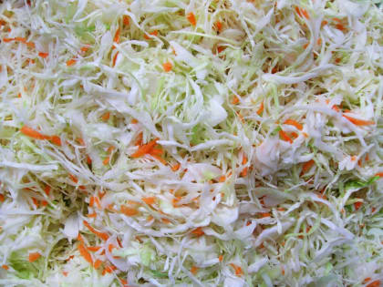 Роспотребнадзор напомнил о пользе квашеной капусты