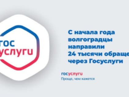 С начала года волгоградцы направили 24 тысячи обращений через Госуслуги