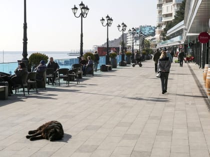 Меры поддержки малого бизнеса в сфере общепита могут быть расширены