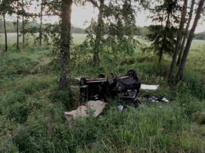 Водитель «Дэу» слетел с дороги, врезался в березу и погиб на месте