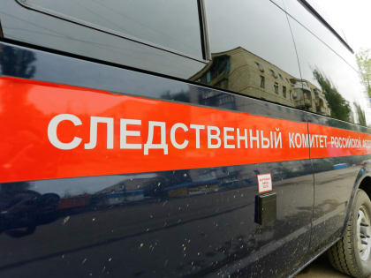 Волгоградские следователи проверят факты нарушения прав детей-сирот