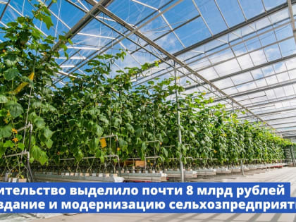 Правительство выделило почти 8 млрд рублей на создание и модернизацию сельхозпредприятий