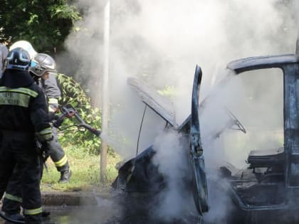 В волжском СНТ сгорел автомобиль