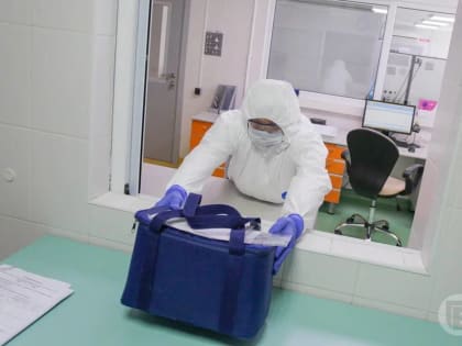 Волгоградцам рассказали о лекарстве, которое сможет лечить рак 4 стадии