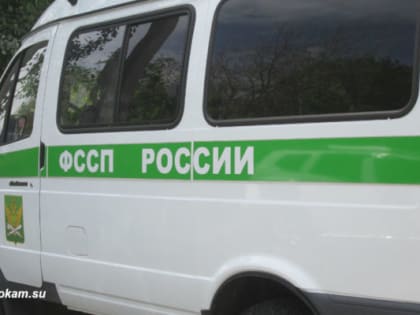46 млн рублей долга перед государством погасила в Камышине торговая фирма