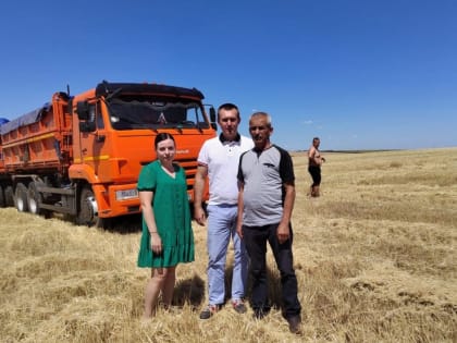 В Дубовском районе приступили к уборке озимых зерновых культур