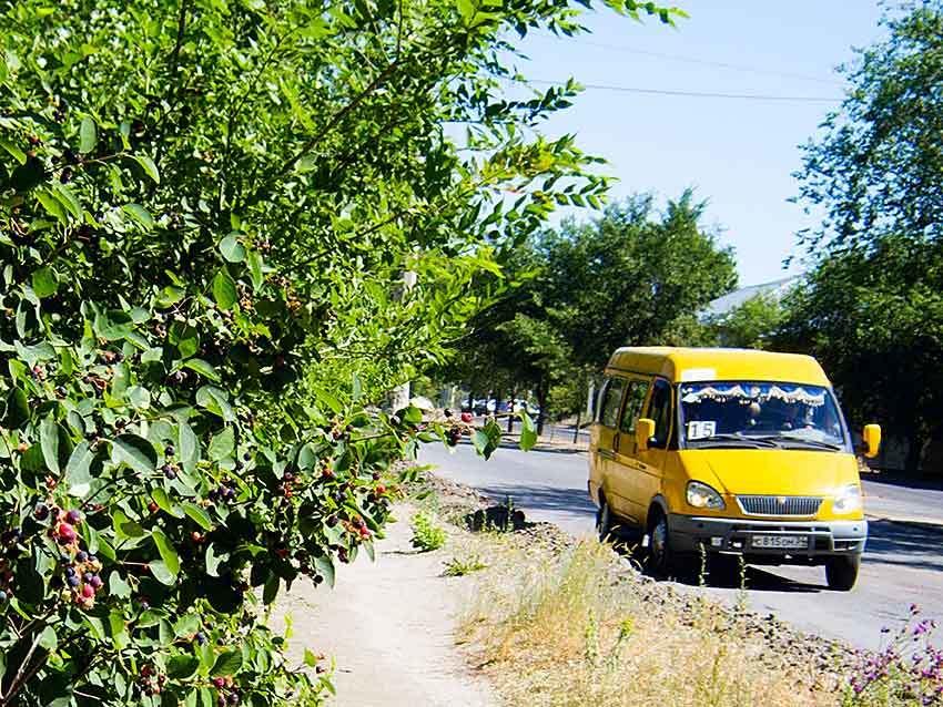 Маршрут волгоград камышин. Муниципальная автоколонна Камышин. Волжская автоколонна. Маршрутка. Автобусы Камышин.