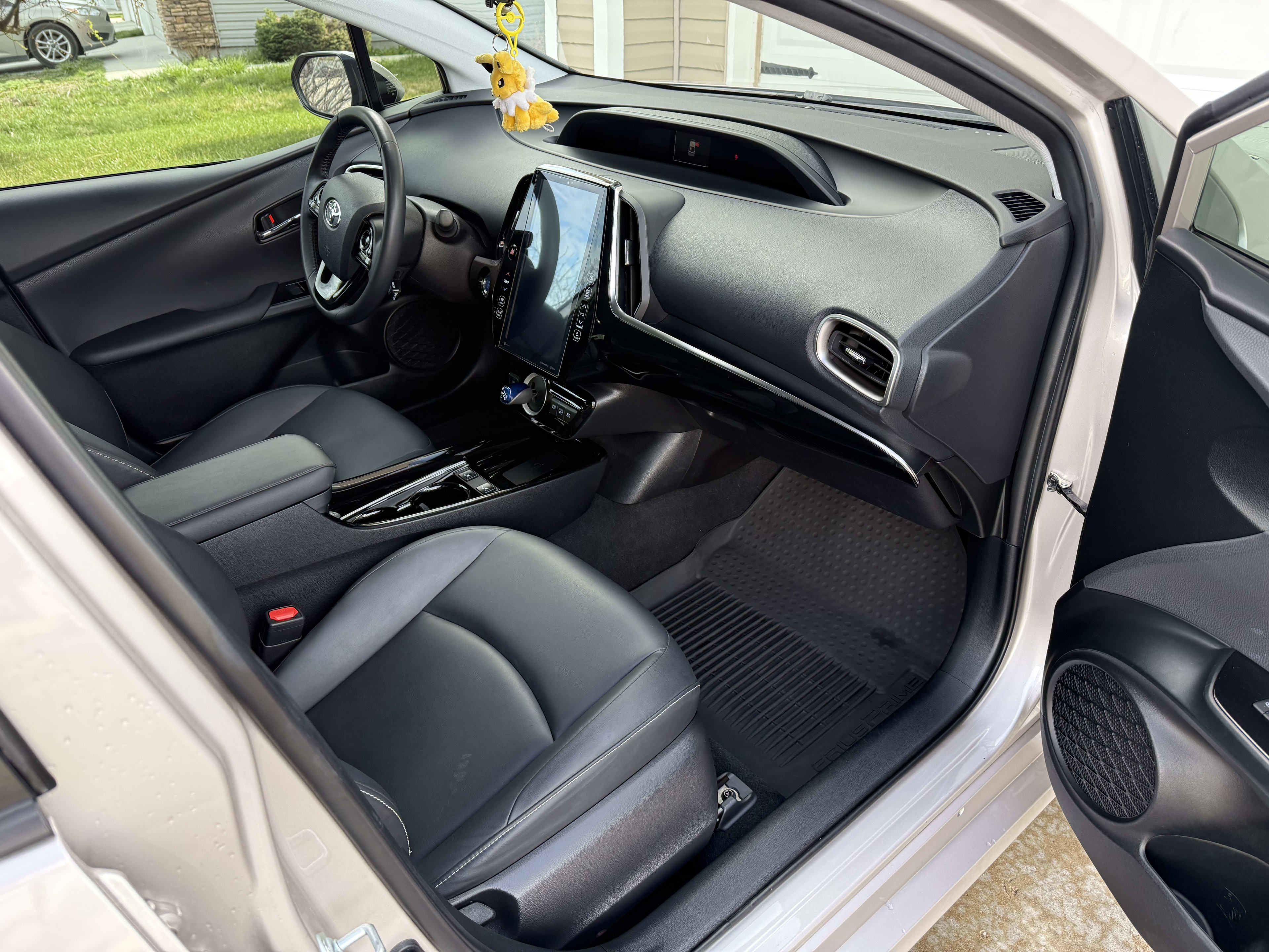 Interior Detailing Results