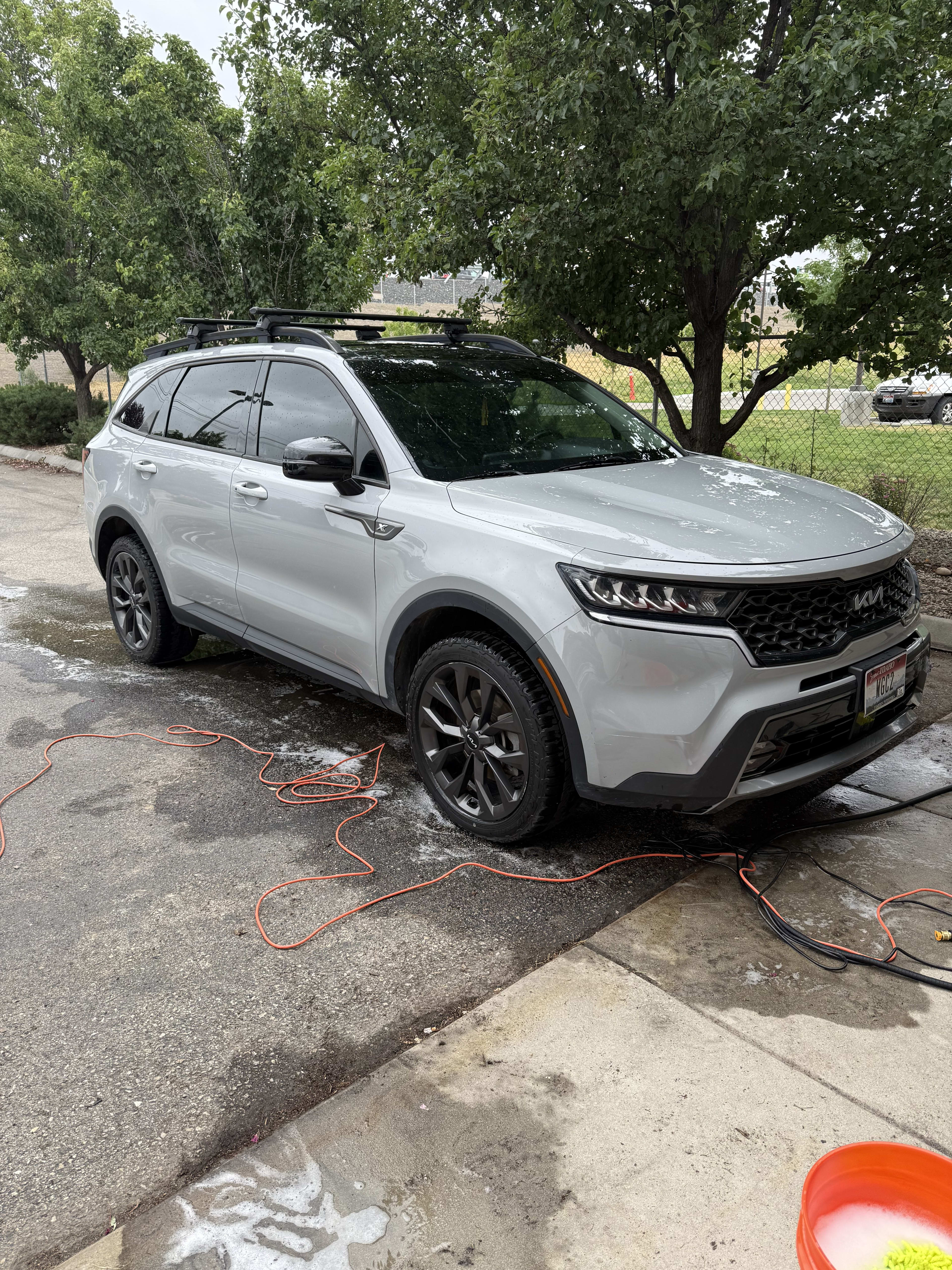 Professional Detailing Results