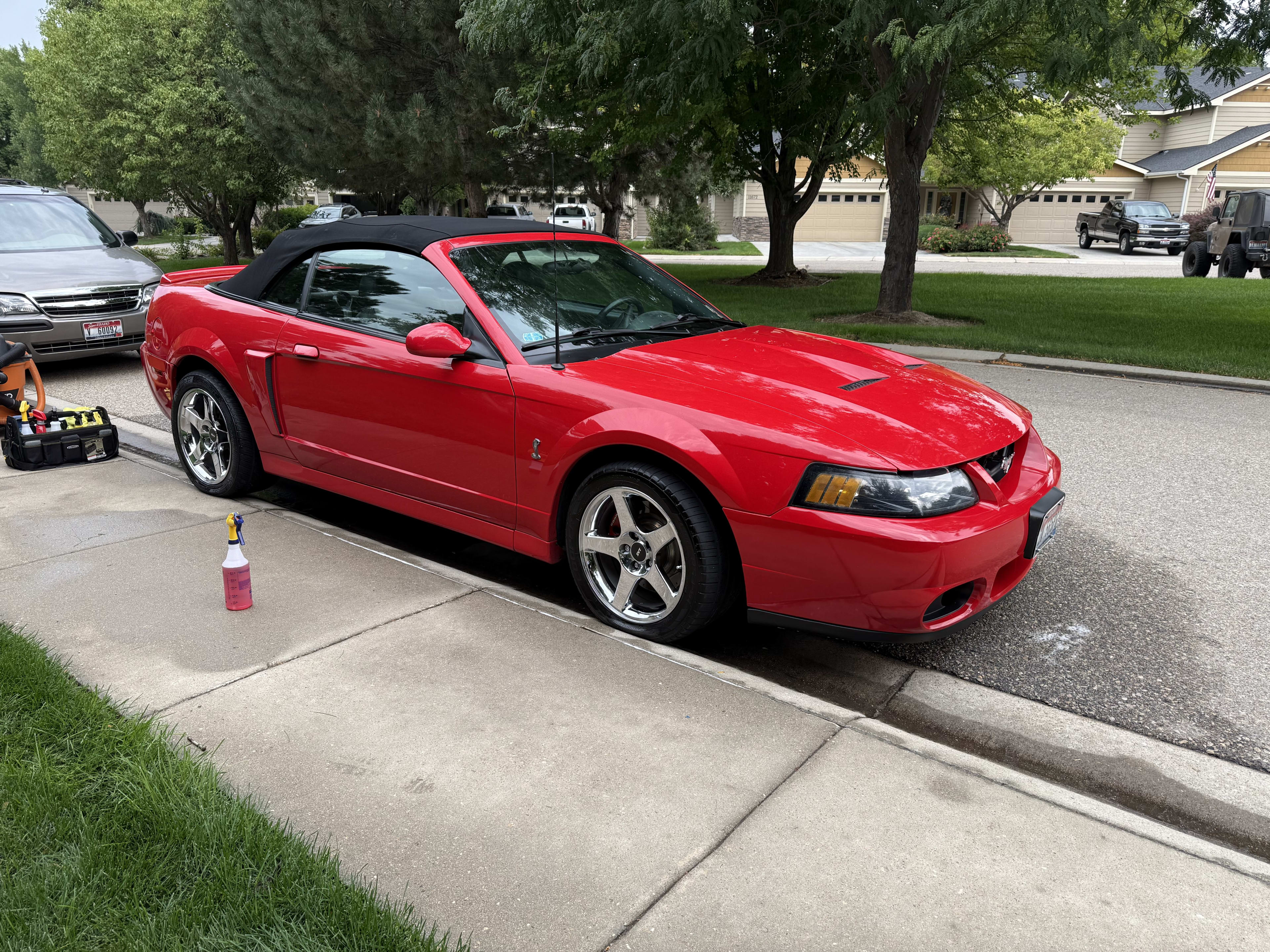 Professional Detailing Results