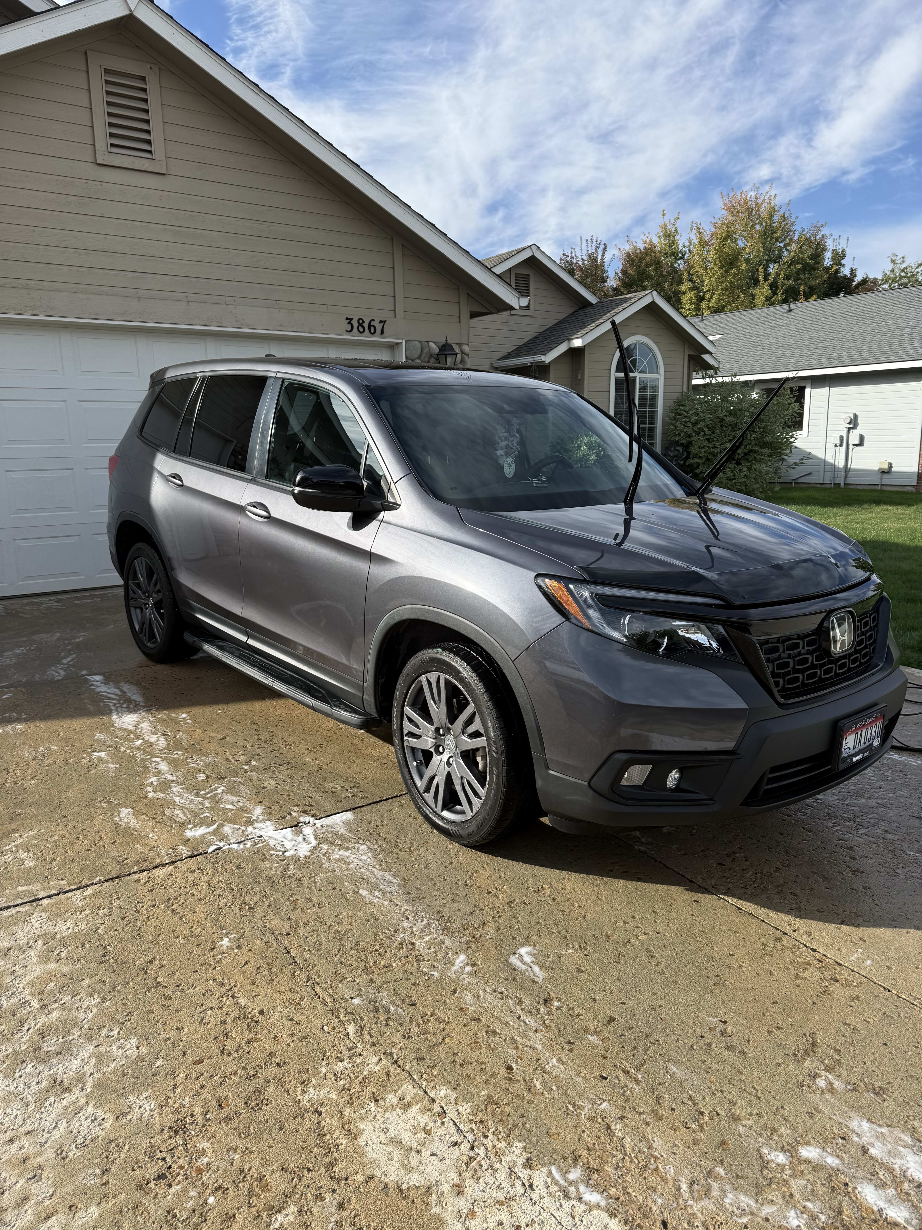 Professional Detailing Results