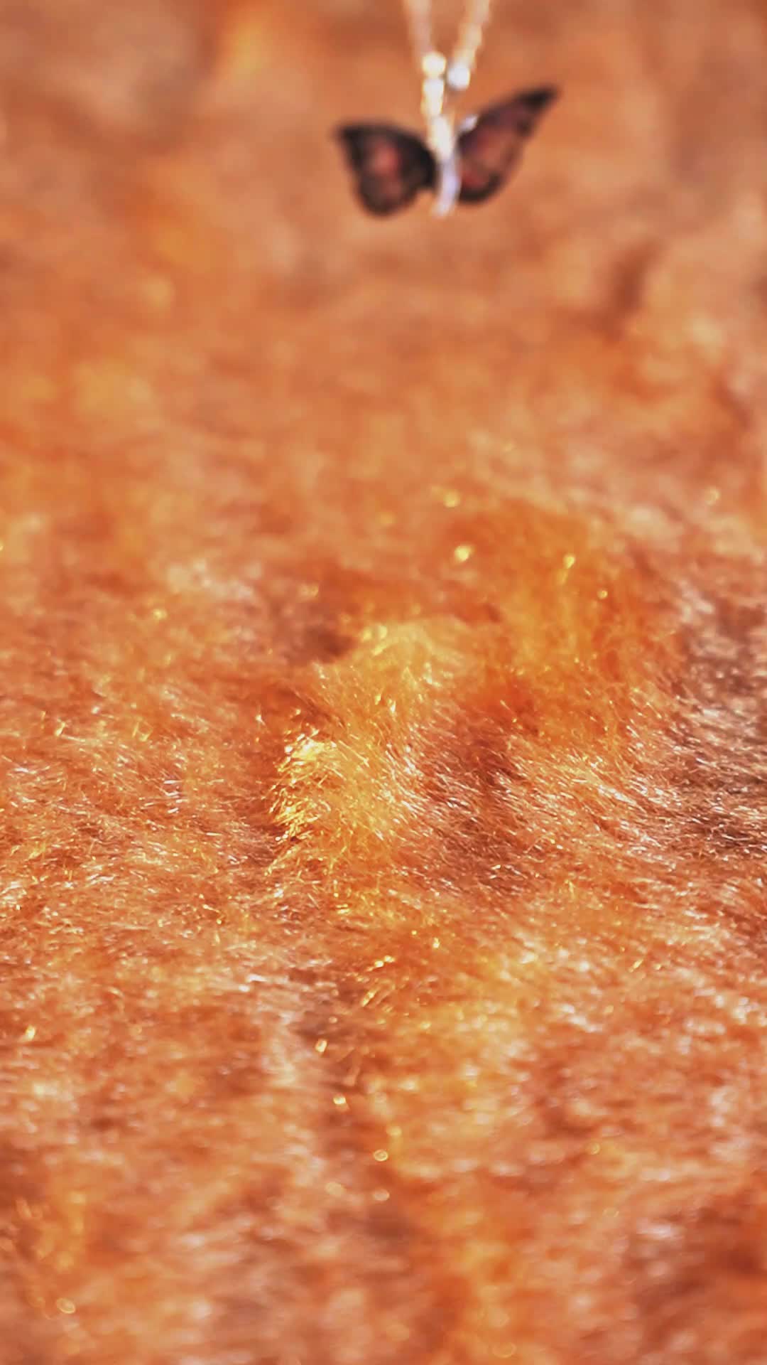 Instagram Post 4
