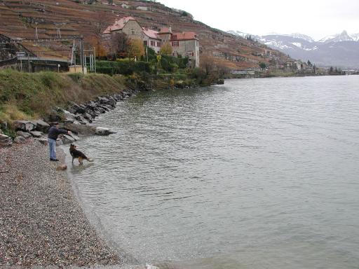 Rivaz Gare - Photo 3