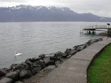 Rivaz Gare - Photo 5