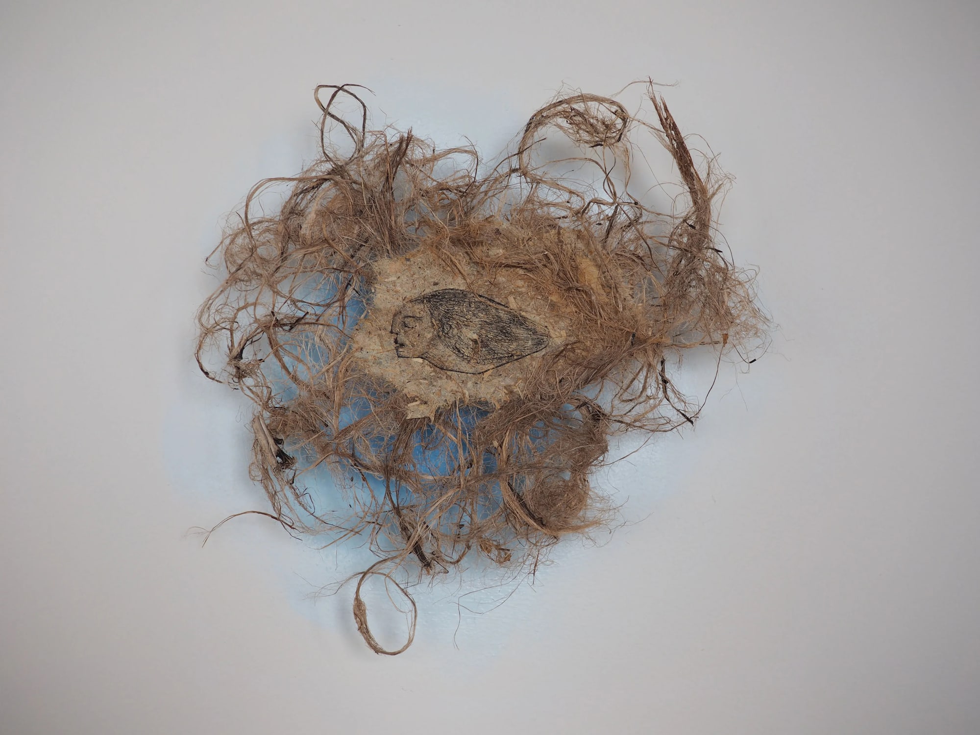 Roots 4