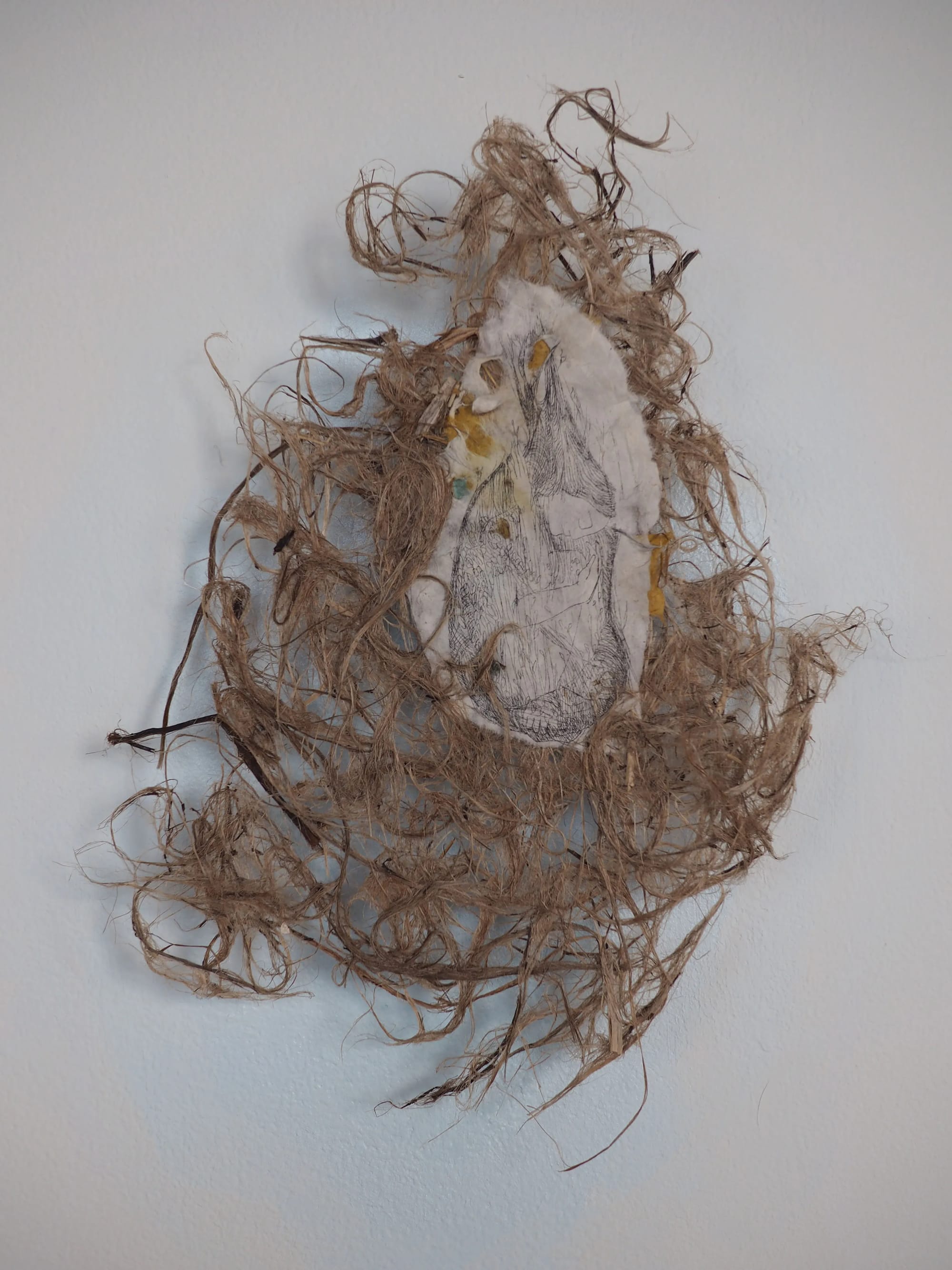 Roots 6