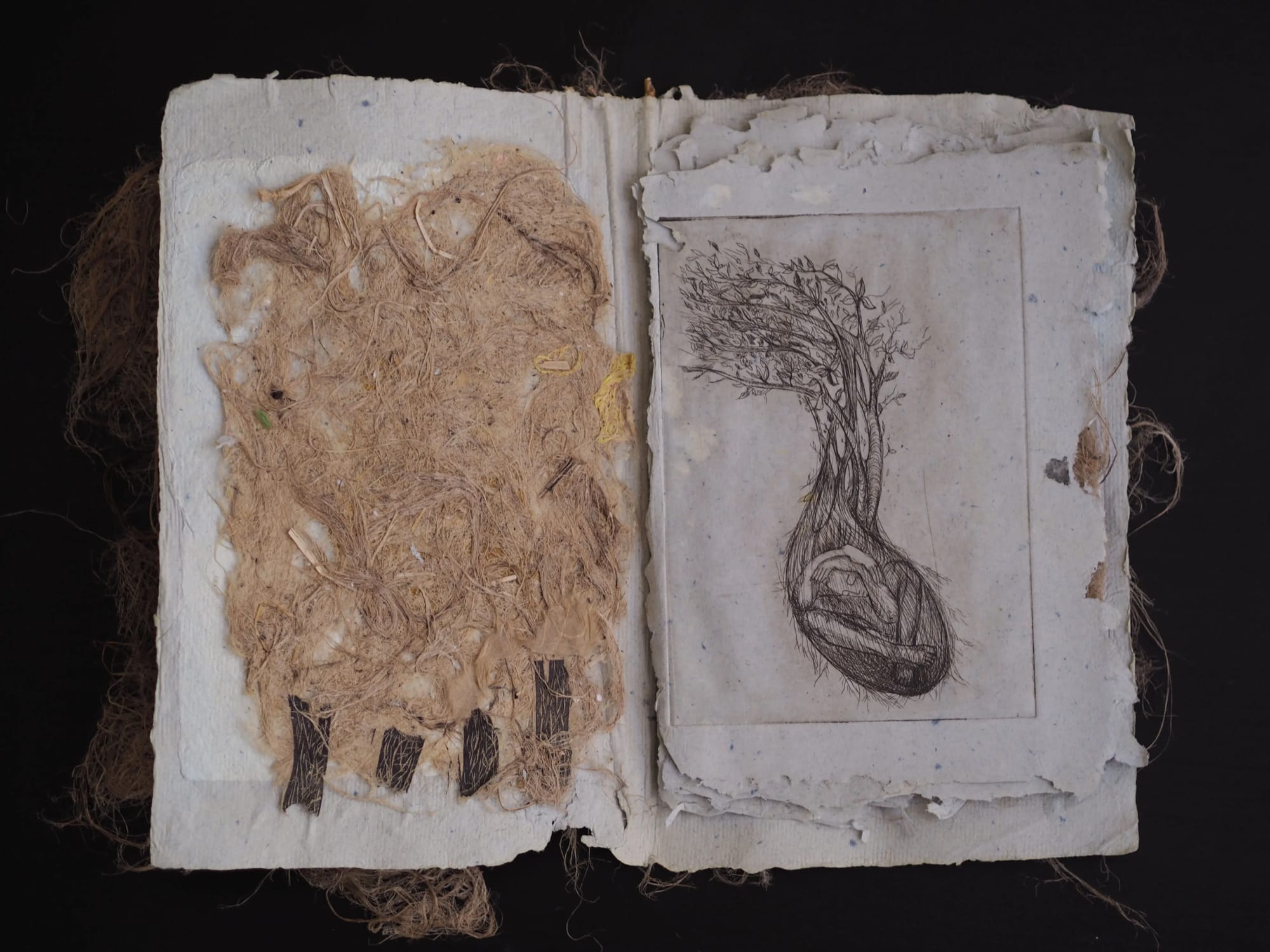 Seeds Stories (A Book Series) 6