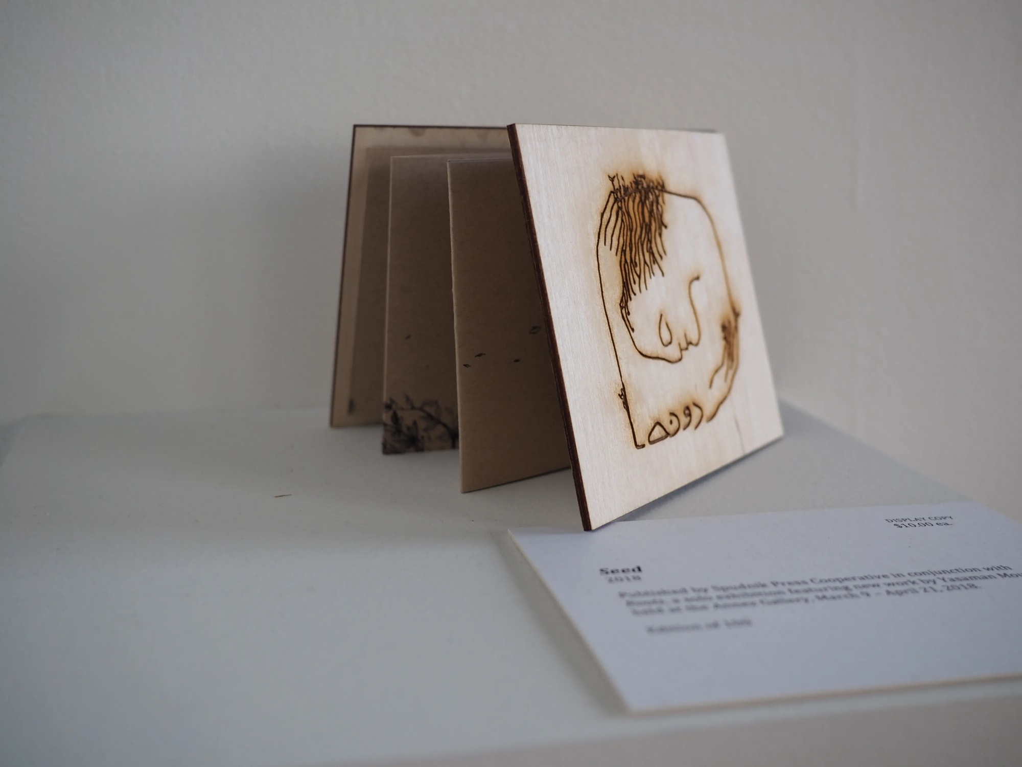 Seeds Stories (A Book Series) 1