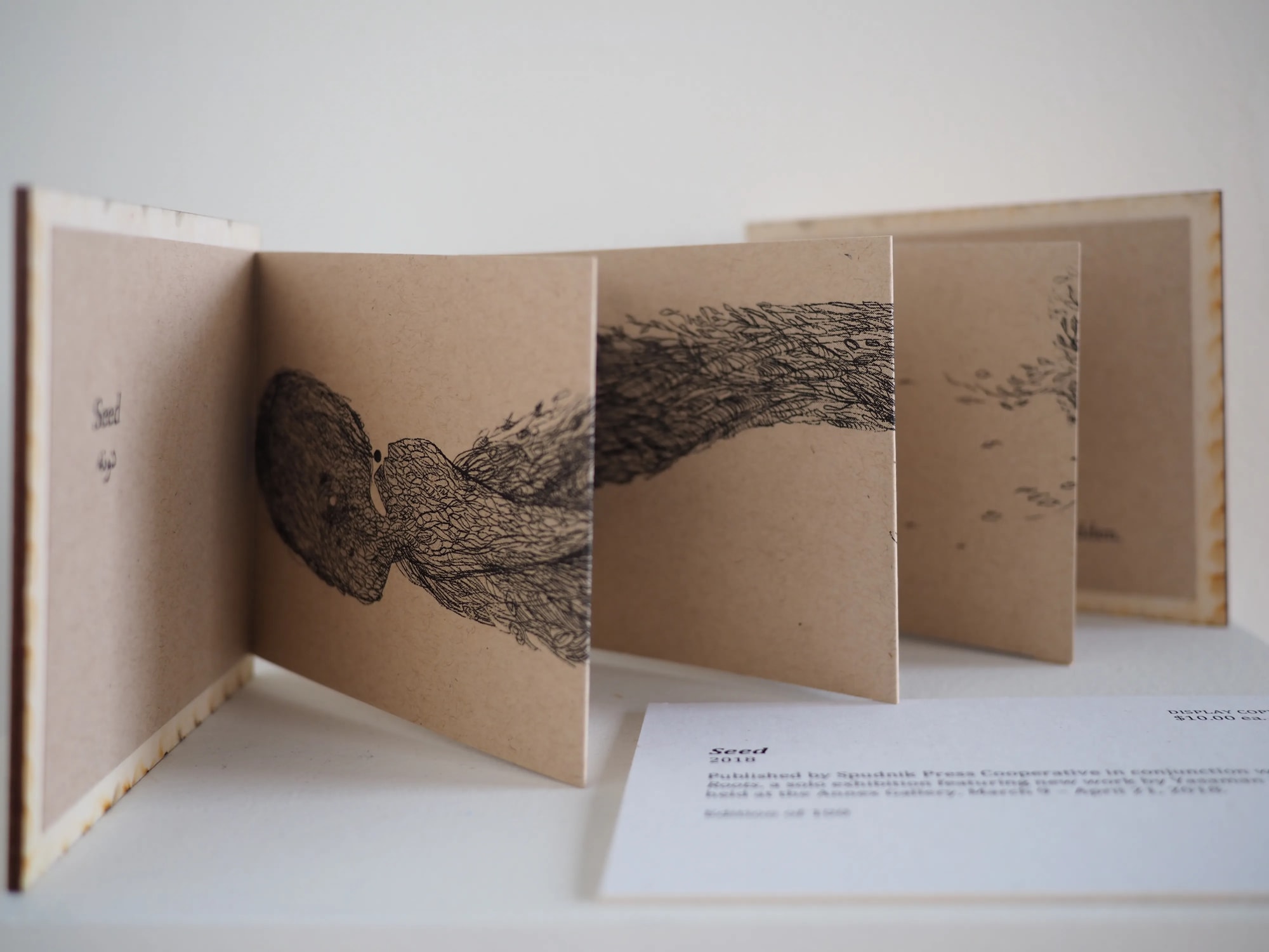 Seeds Stories (A Book Series) 2