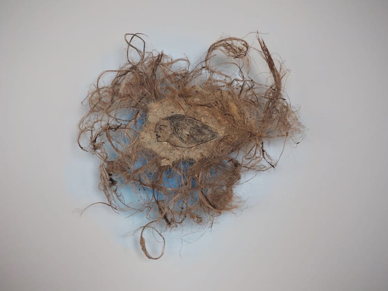 Roots 4