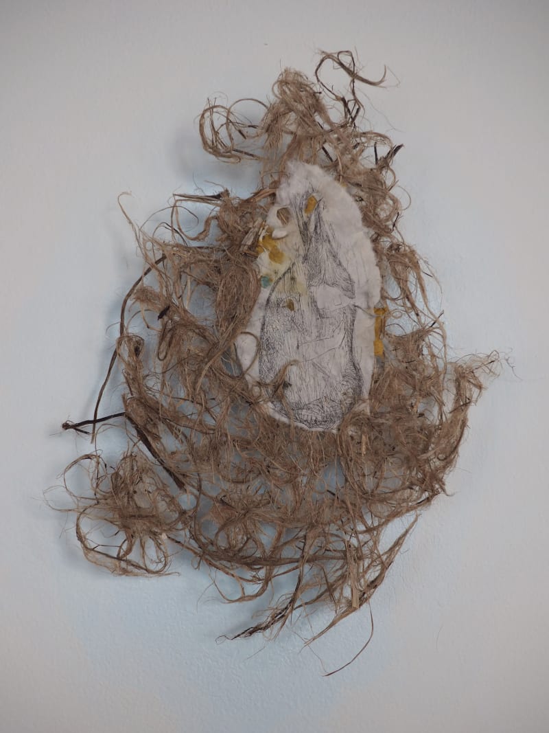 Roots 6