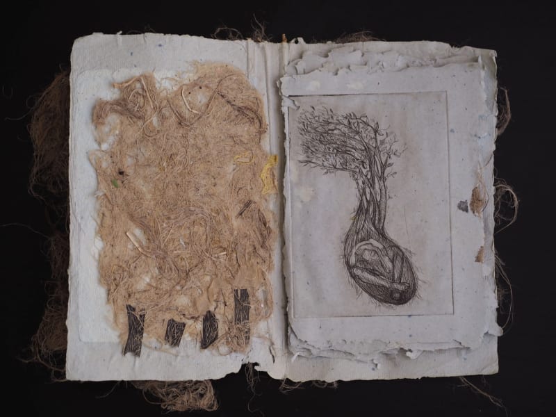 Seeds Stories (A Book Series) 6