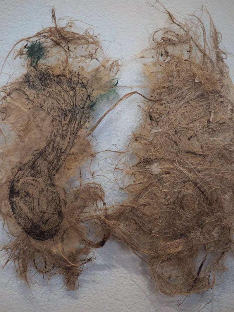 Roots 1