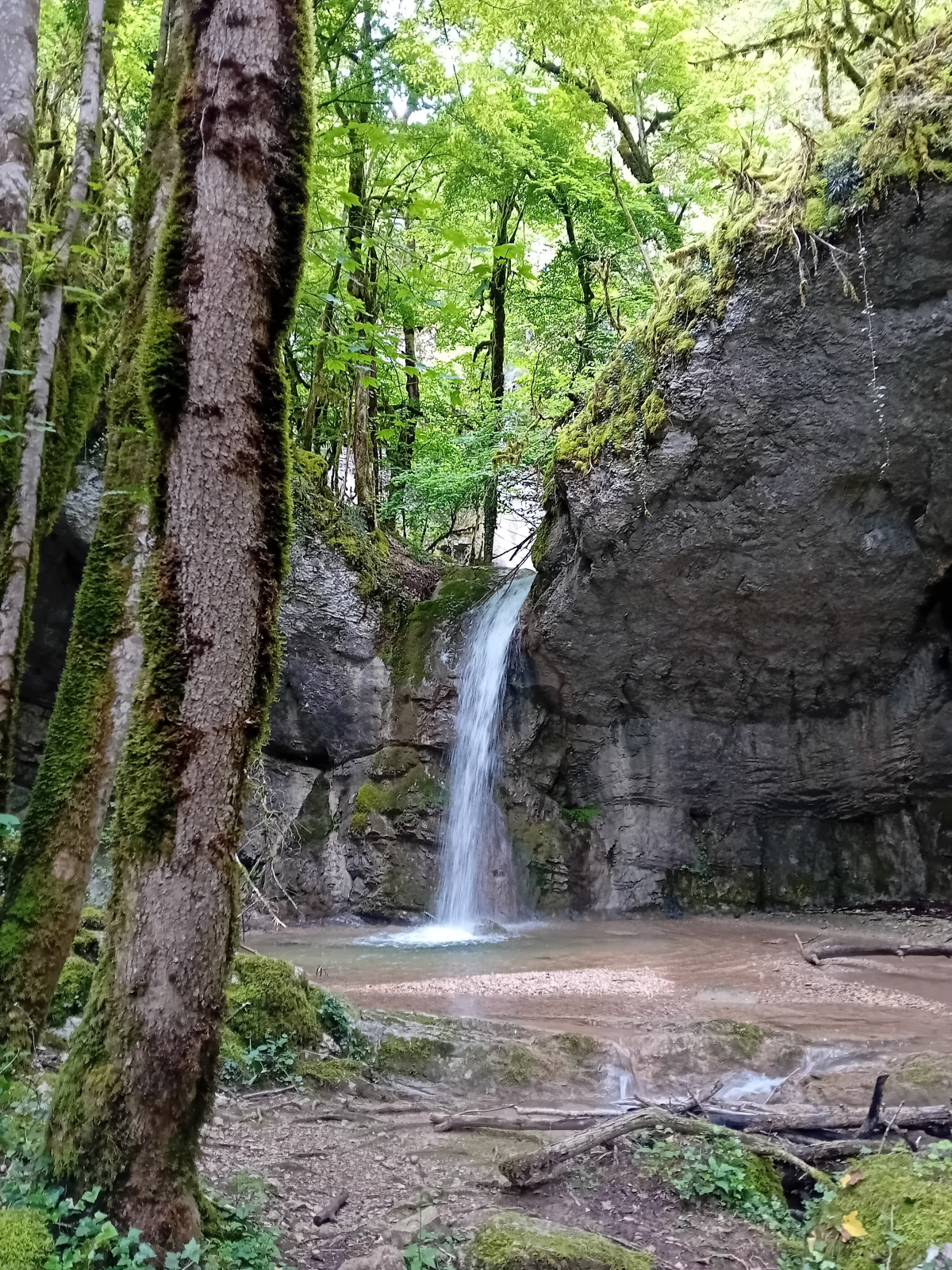 Photo du camping L'Aincontournable