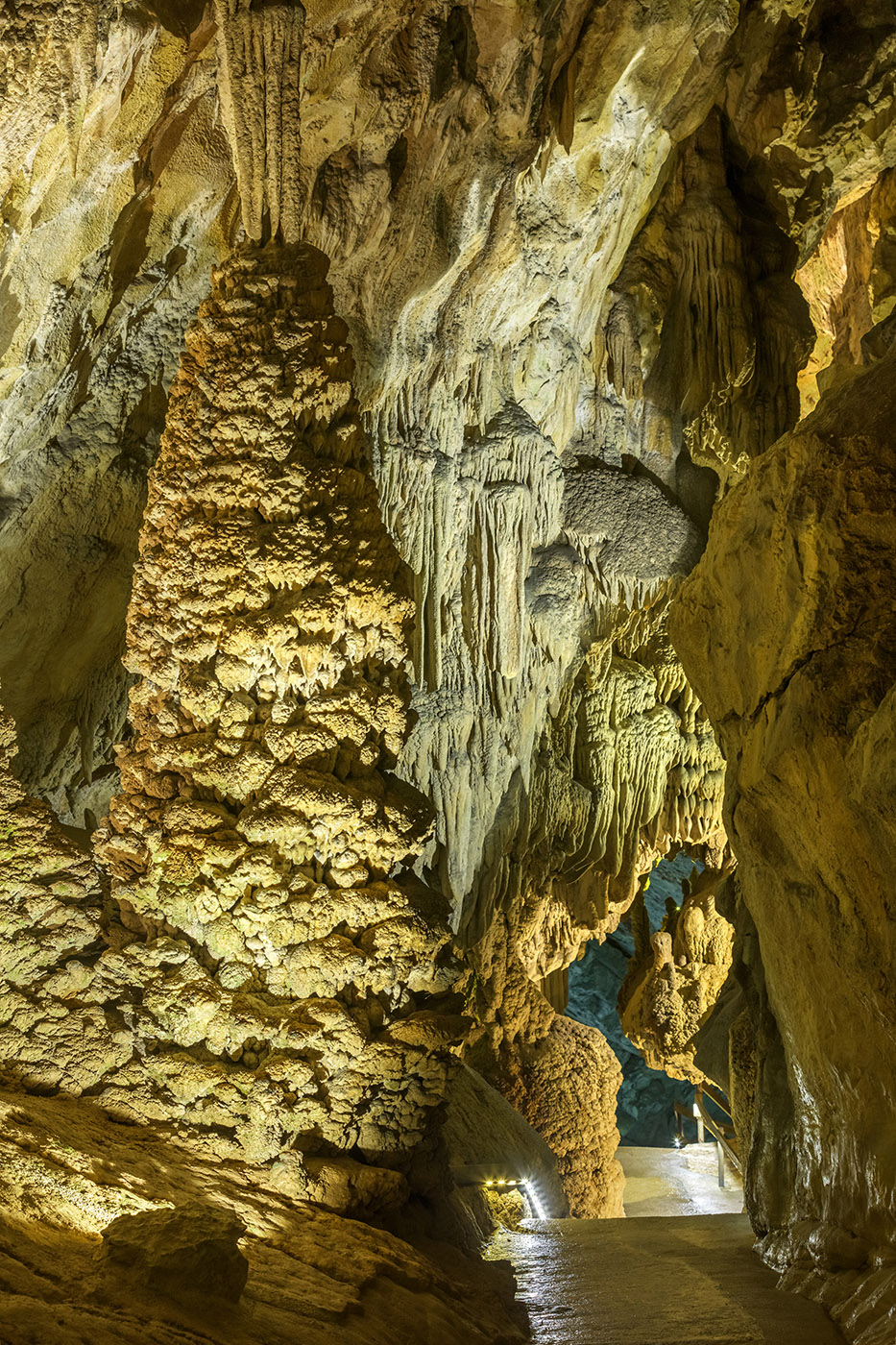 Photo camping — catégorie