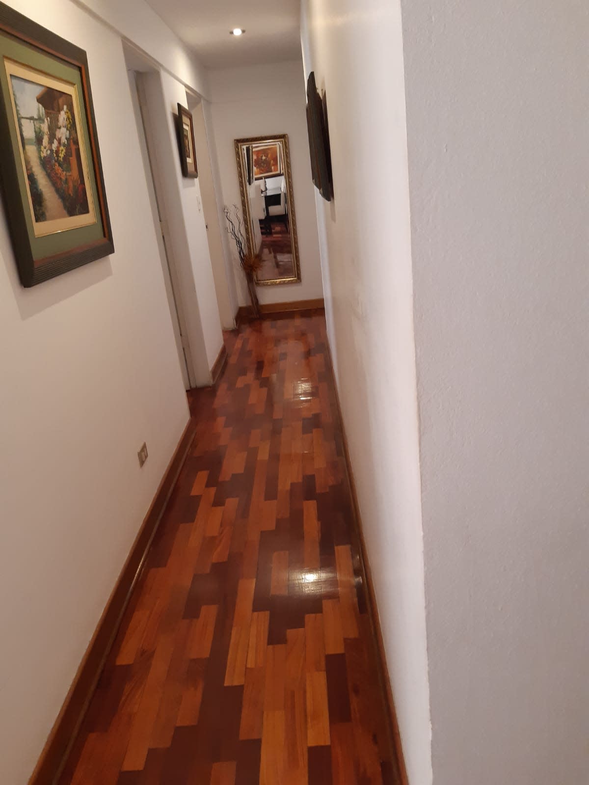 Imagen 8
