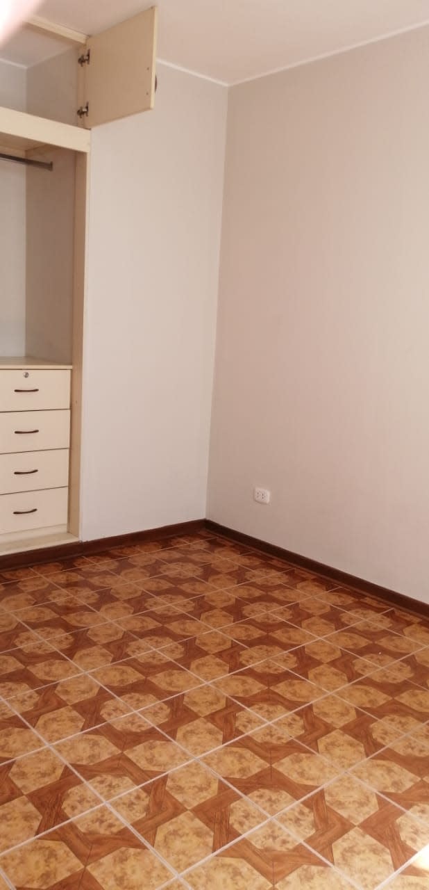 Imagen 6